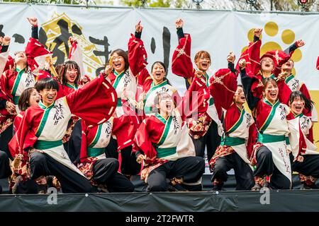 Junge japanische Frauen Team aus Yosakoi-Tänzerinnen, kniend und stehend, während sie auf der Open-Air-Bühne beim Kyusyu Gassai Tanzfestival in Kumamoto jubeln. Stockfoto