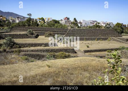 Güímar, Teneriffa, Comunidad Autonoma des Canarias, Spanien. Güímar Pyramiden. Stockfoto