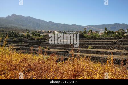 Güímar, Teneriffa, Comunidad Autonoma des Canarias, Spanien. Güímar Pyramiden. Stockfoto