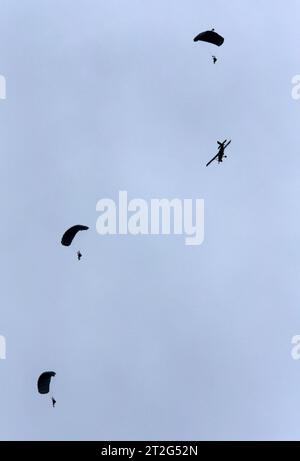 Drei Fallschirmaufklärer der Schweizer Armee an Freifallschirmen über der Axalp. Rechts im Bild das Flugzeug, aus welchem diese abgesetzt wurden, ein Pilatus PC-6 Porter. Flugvorführungen der Schweizer Luftwaffe auf dem Fliegerschiessplatz Axalp-Ebenfluh am 18. Oktober 2023. Axalp ob Brienz Kanton Bern Schweiz *** drei Fallschirmaufklärungsflugzeuge der Schweizer Armee an freien Fallschirmen über der Axalp direkt im Bild das Flugzeug, von dem sie abgesetzt wurden, eine Pilatus PC 6 Porter Flight Demonstrationen der Schweizer Luftwaffe auf dem Luftwaffenstützpunkt Axalp Ebenfluh am 18. Oktober 2023 Axalp ob Bri Stockfoto
