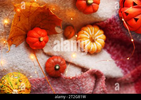 Herbst Thanksgiving Komposition Hintergrund mit Kopierraum, Kürbisse, Herbstblätter, Herbststimmung Stockfoto
