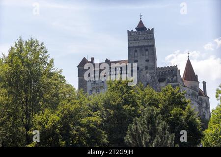 Mittelalterliches Schloss Bran (Castelul Bran), bekannt als Draculas Burg, in Bran, Siebenbürgen, Rumänien, hinter grünen Bäumen Stockfoto