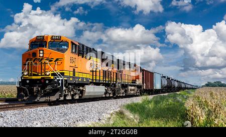 St. Charles, MO USA, 5. September 2023, Güterzug, der westwärts durch Ackerland in einem ländlichen Teil von St. Charles County unter einem Wolkenhimmel Stockfoto