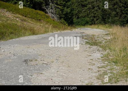 Bergstraße mit vielen Schlaglöchern. Die Straßenränder sind mit Gras bewachsen. Im Hintergrund gibt es Nadelwald. Stockfoto