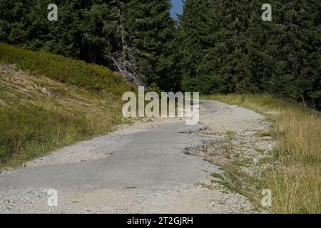 Zerstörte Bergstraße mit vielen Schlaglöchern. Die Straßenränder sind mit Gras bewachsen. Im Hintergrund gibt es Nadelwald. Stockfoto