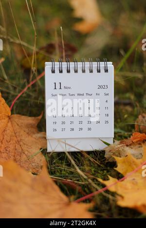 Konzept des Tabellenkalenders und Kopierbereich. November 2023 Monatskalender mit Ahornblättern Naturhintergrund. Platz für Text. Ahornblätter auf dem Stockfoto