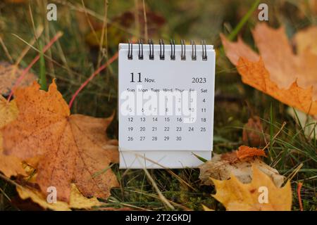 Konzept des Tabellenkalenders und Kopierbereich. November 2023 Monatskalender mit Ahornblättern Naturhintergrund. Platz für Text. Ahornblätter auf dem Stockfoto