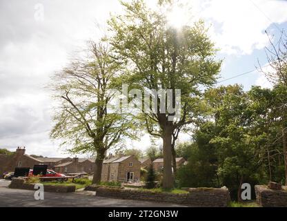 Dale End in Lothersdale, wo die Mühle angeblich das größte Innenwasserrad der Welt hat, North Yorkshire, England, Großbritannien Stockfoto