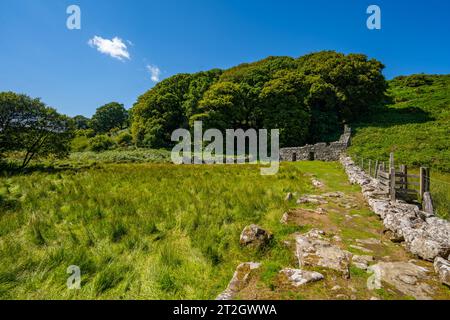 St Cybi's Brunnen Llangybi Nordwales. Stockfoto