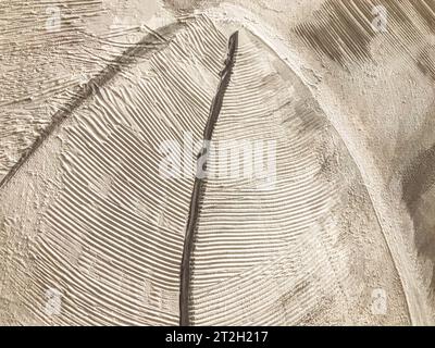 Pinselstriche auf Leinwand. Weiße und graue Farbe erzeugt ein dreidimensionales Bild von Federn und Blättern. Voluminöse Textur wird mit einem Kamm erzeugt. Stockfoto