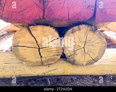 Die Textur des Holzsägehölzes rund im Abschnitt der Natur mit den Rissen und dem strukturierten Gelbbraun. Der Hintergrund. Stockfoto