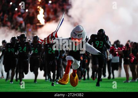 Das Miami Hurricanes Maskottchen führt das Team auf das Feld, bevor es zu einem College Football-Spiel gegen die Georgia Tech Yellow Jackets, S, kommt Stockfoto