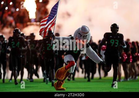 Das Miami Hurricanes Maskottchen führt das Team auf das Feld, bevor es zu einem College Football-Spiel gegen die Georgia Tech Yellow Jackets, S, kommt Stockfoto