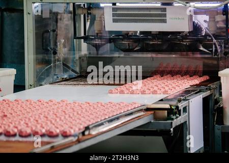 Süßwarenfabrik. Zephyr- und Marshmallows-Formverfahren. Stockfoto