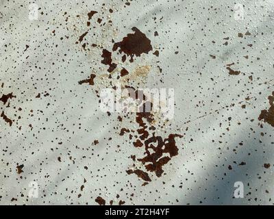 Hellgrün verblichenes altes zerkratztes, brutales Eisenrostblech, das mit abblätternder Farbe bemalt wurde. Hintergrund, Textur im Ausformungsstil. Stockfoto