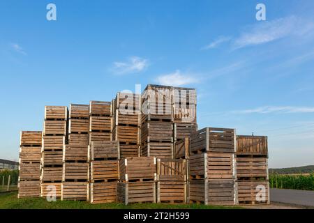 Eine große Anzahl von Holzkisten für die Obsternte ist in einem hohen Stapel in der Nähe des Obstgartens gestapelt Stockfoto