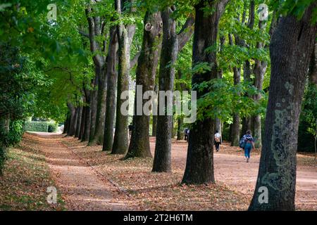 Museu, Casa und Parque de Serralves, Massarelos, Porto, Portugal Stockfoto