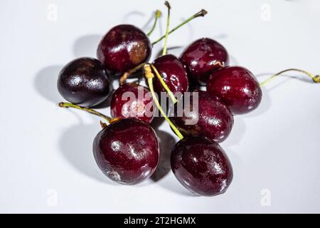 Bild einer Kirsche, viele Kirschen, auf einem Teller. Prunus cerasus (Sauerkirsche, Tartkirsche oder Zwergkirsche) ist eine Art von Prunus in der Untergattung Cera Stockfoto