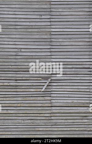 Alte alte verwitterte natürliche graue beschädigte hölzerne Farm Shack Wandstruktur, große detaillierte strukturierte rustikale grungy vertikale Hintergrund Nahaufnahme Stockfoto