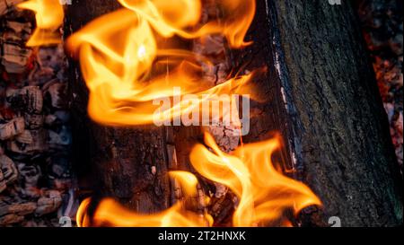 Nahaufnahme eines Lagerfeuers. Holz leuchtet und Flammen brennen Stockfoto