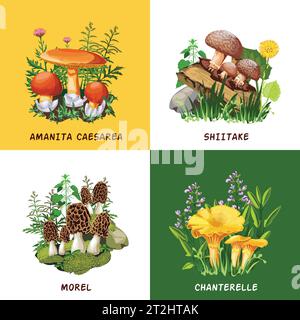 Wild Mushrooms 2x2 Designkonzept Set aus Shiitake Pfifferlinge Morel und Amanita caesarea Kompositionen flache Vektor-Illustration Stock Vektor