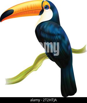 Tropischer Regenwald Fauna Tukan Vogel sitzt auf einem Zweig bunte realistische Bild mit weißem Hintergrund Vektor-Illustration Stock Vektor