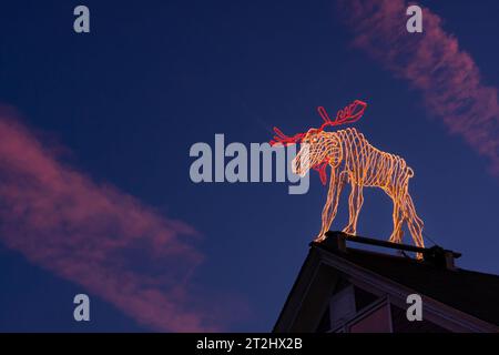 Elektrische Elch Bar Harbor, Maine, USA Stockfoto