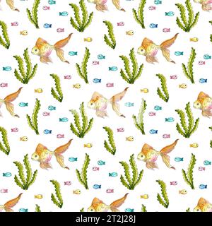 Aquarellmuster von Goldfischen, Algen und kleinen bunten Fischen. Nahtlos wiederkehrender Druck von Aquarienfischen, tropischen Bewohnern der s Stockfoto