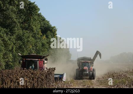 Kiew, Ukraine. September 2023. Ein Mähdrescher und ein Traktor des deutschen Landwirtschaftsunternehmens UIFK Agro in der Ukraine ernten Sonnenblumen. (Zu "im zweiten Kriegsjahr sitzen ukrainische Bauern auf der Ernte") Credit: Friedemann Kohler/dpa/Alamy Live News Stockfoto