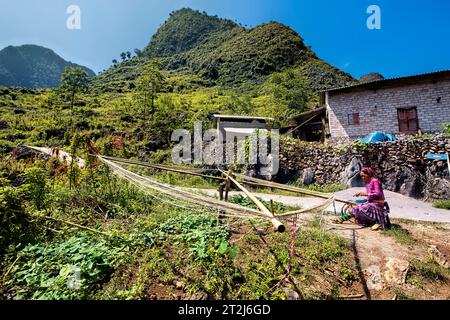 Blume Hmong Frau spinnt Leinenfasern, Ma Pi Leng, Ha Giang, Vietnam Stockfoto