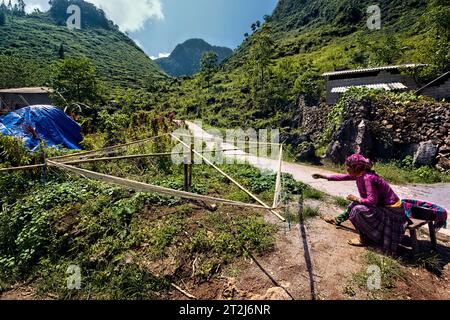 Blume Hmong Frau spinnt Leinenfasern, Ma Pi Leng, Ha Giang, Vietnam Stockfoto