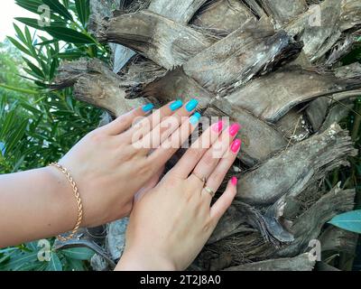 Hand vor der alten Ponderosa-Kiefer. Stockfoto