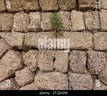 Nahaufnahme der Wand des Aquadukts bei Cäsarea, Israel. Stockfoto