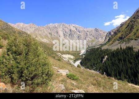 Die Berglandschaft im Ala Archa Nationalpark im Sommer, Kirgisistan in Zentralasien Stockfoto