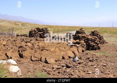 Ein großer Dunghaufen als Heizbrennstoff auf einer Pferdefarm in Kirgisistan in Zentralasien Stockfoto