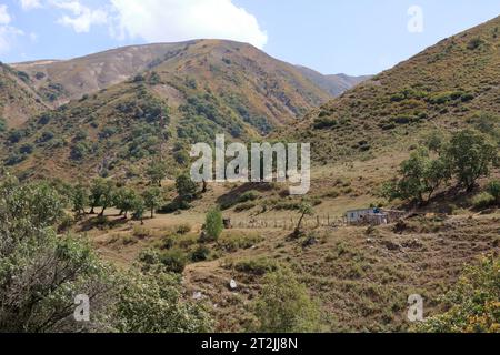 Die Landschaft am Fluss Urumbash in der Nähe des Kaldamanenpasses zwischen Arslanbob und Kasarman in Kirgisistan, Zentralasien Stockfoto