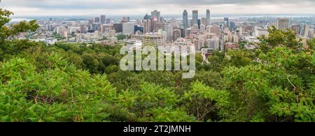 Die Skyline von Montreal an einem klaren Sommertag Stockfoto