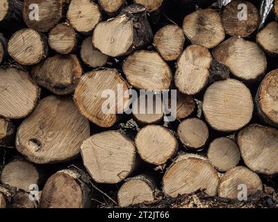 Nahaufnahme eines Hartholzstapels, Frontansicht, Textur, Hintergrund, Tapete Stockfoto