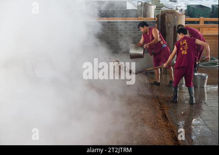 SUQIAN, CHINA - 20. OKTOBER 2023 - Arbeiter arbeiten in einer Brauwerkstatt auf einem Weingut in Suqian, Provinz Jiangsu, China, 20. Oktober 2023. Stockfoto