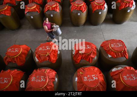 SUQIAN, CHINA - 20. OKTOBER 2023 - Arbeiter kapseln Likör in einer Destillerie in Suqian, Provinz Jiangsu, China, 20. Oktober 2023. Stockfoto