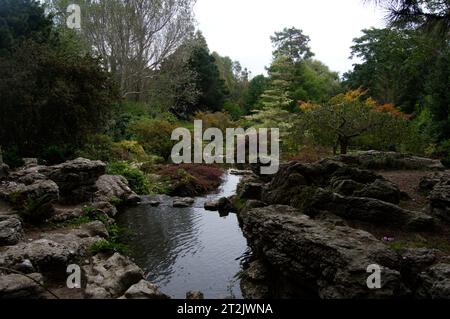 Japanischer Garten im Samarès Manor, Jersey, Kanalinseln Stockfoto