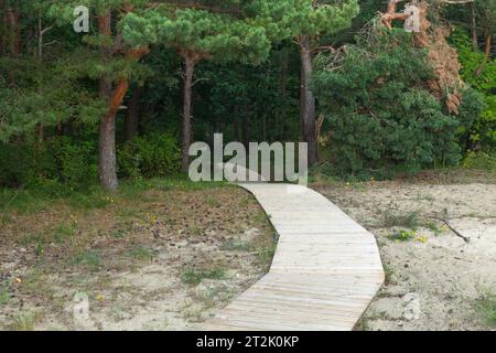 Holzwege am Sand in der Nähe der Stadt Klaipeda in Litauen Stockfoto