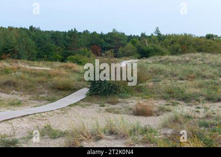 Holzwege am Sand in der Nähe der Stadt Klaipeda in Litauen Stockfoto