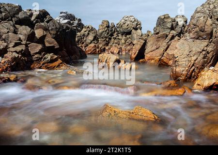 Cape Recife Nature Reserve, Gqeberha, Südafrika. Stockfoto