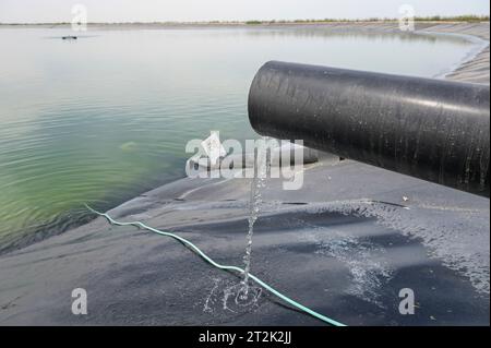 ISRAEL, Stadt Kiriat Malachi, Kibbuz-Bauernhof Tzabar-Kama, Teich mit recyceltem Wasser aus der Wasseraufbereitungsanlage von Jerusalem, das Wasser wird zur Bewässerung verwendet, Becken mit aufbereitetem Schmutzwasser aus einem Klärwerk, das Wasser wird zur Bewässerung verwendet Stockfoto