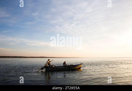 Zwei Männer arbeiten am frühen Morgen und zänken Austern auf den hochproduktiven Austernbetten in Apalachicola Bay, FL. Stockfoto