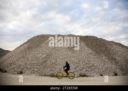 Eine Frau fährt mit dem Fahrrad entlang eines Haufens von Austernschalen, die gesammelt werden, bevor sie auf die Austernbetten zurückgebracht werden. Stockfoto