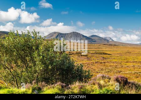 Blick über Derryveagh bogland in Richtung der Berge, einschließlich der berühmten Mount Errigal, von bogland in der Nähe von Falcarragh, County Donegal, Irland Stockfoto