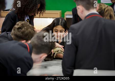 Biologiestunde an einer britischen Sekundarschule. Stockfoto