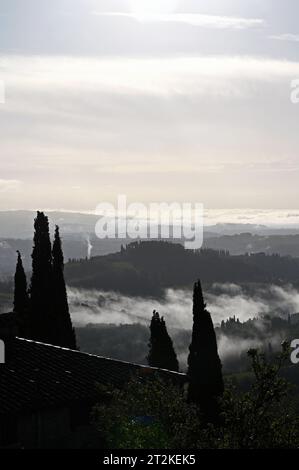 Morgennebel rund um San Gimignano, Toskana, Italien Stockfoto